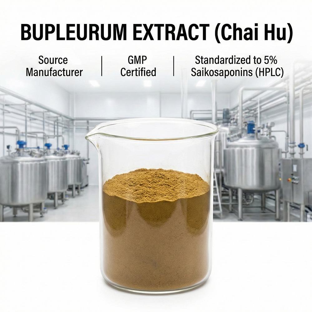 Bupleurum Extract