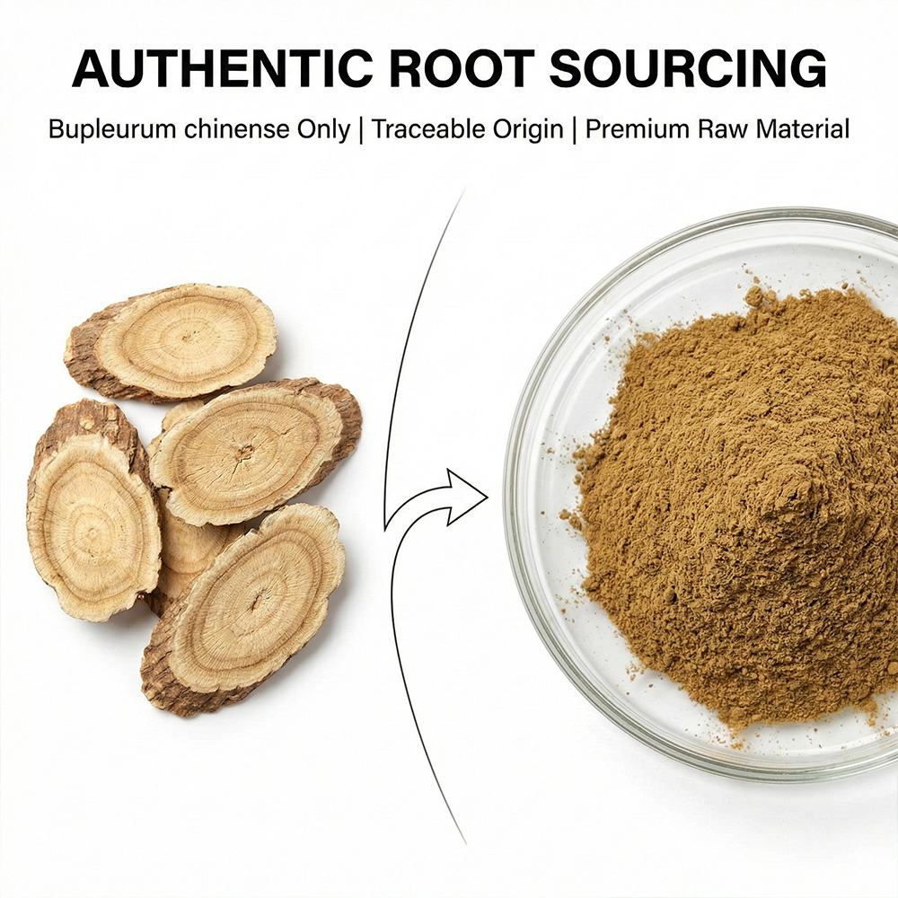 Bupleurum Extract product detail image 3