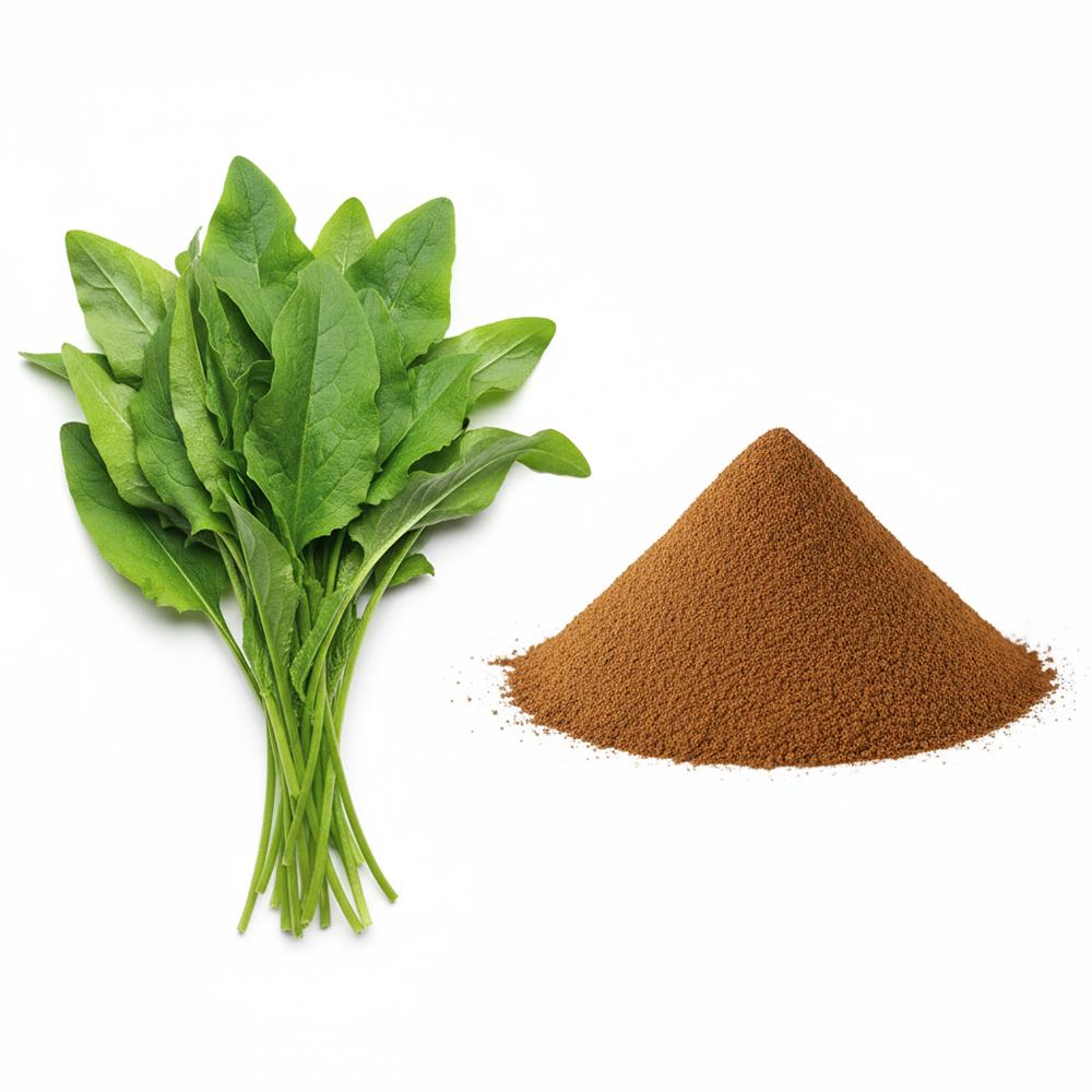 Plantago Asiatica Extract