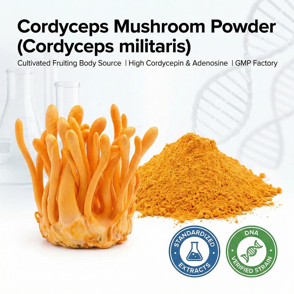 Cordyceps Mycelium Powder