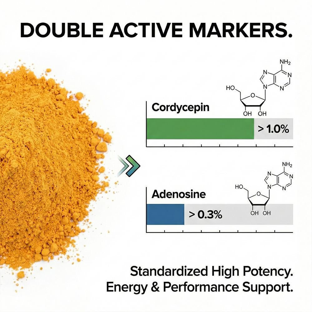 Cordyceps Mycelium Powder product detail image 4