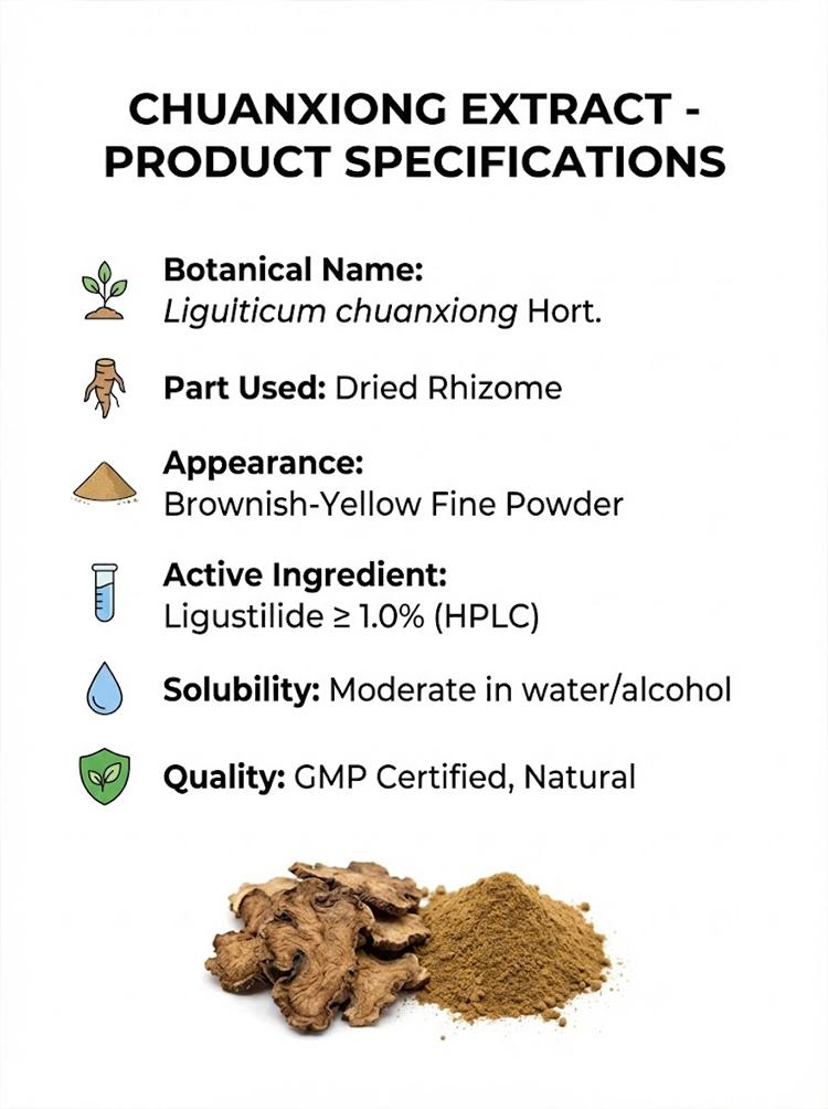Chuanxiong Rhizome Extract product detail image 6