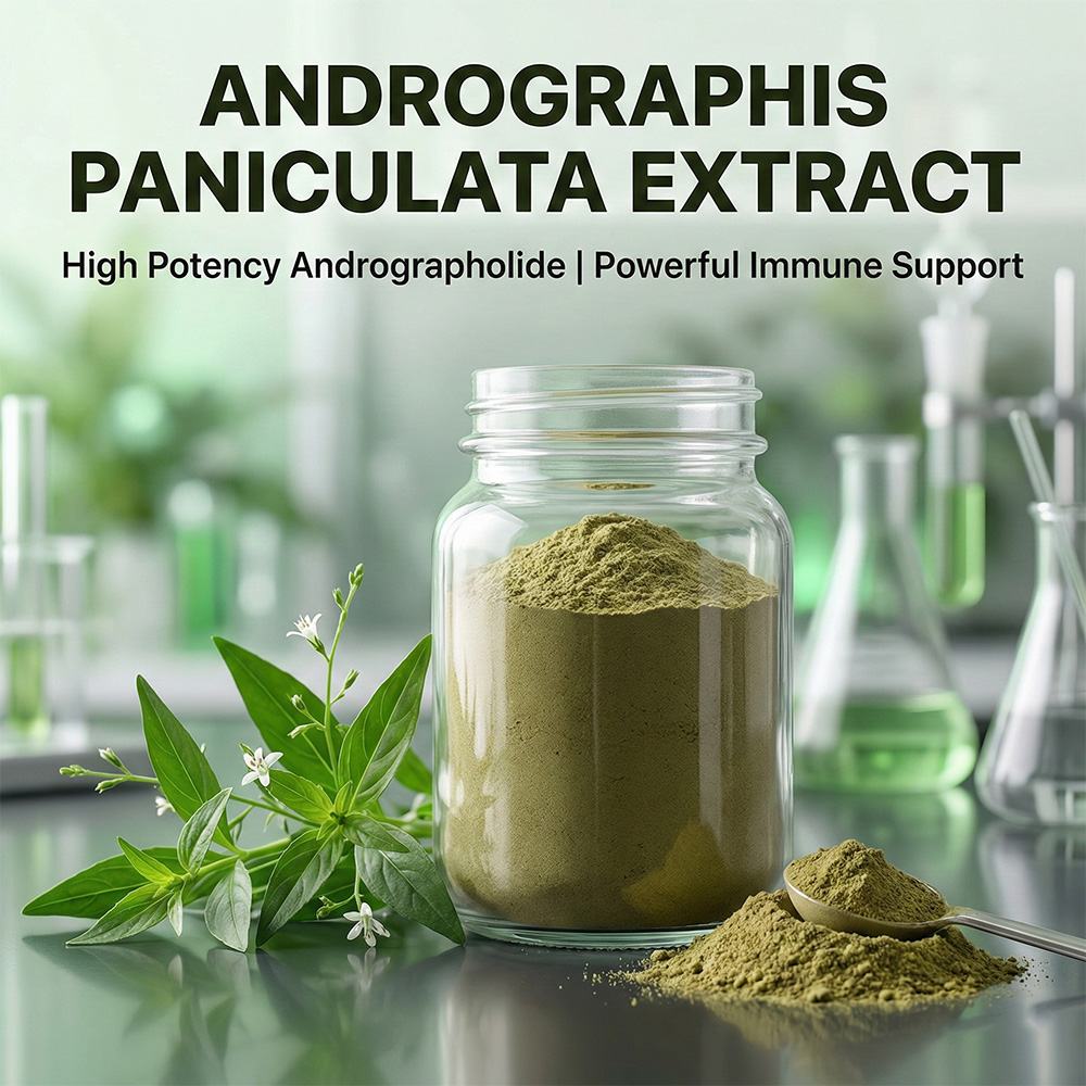Andrographis Extract