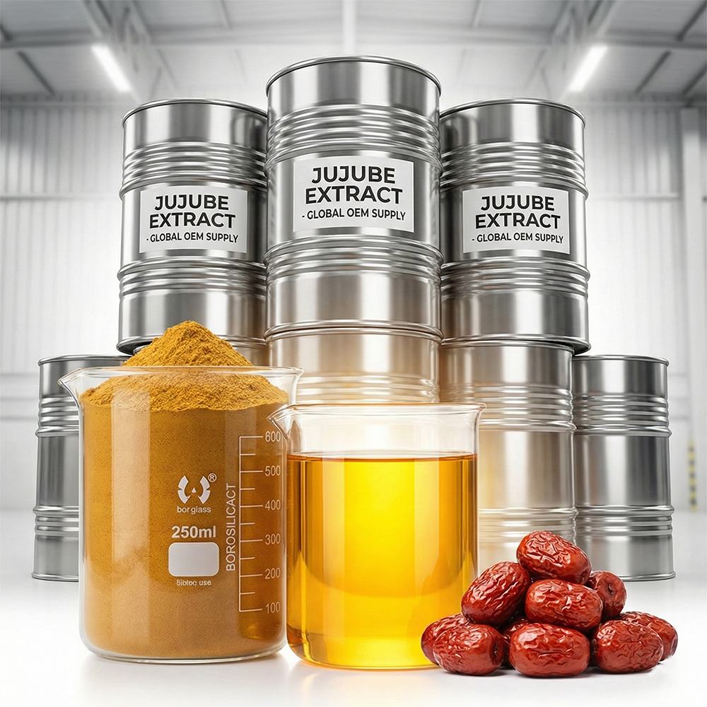 Chinese Jujube Extract