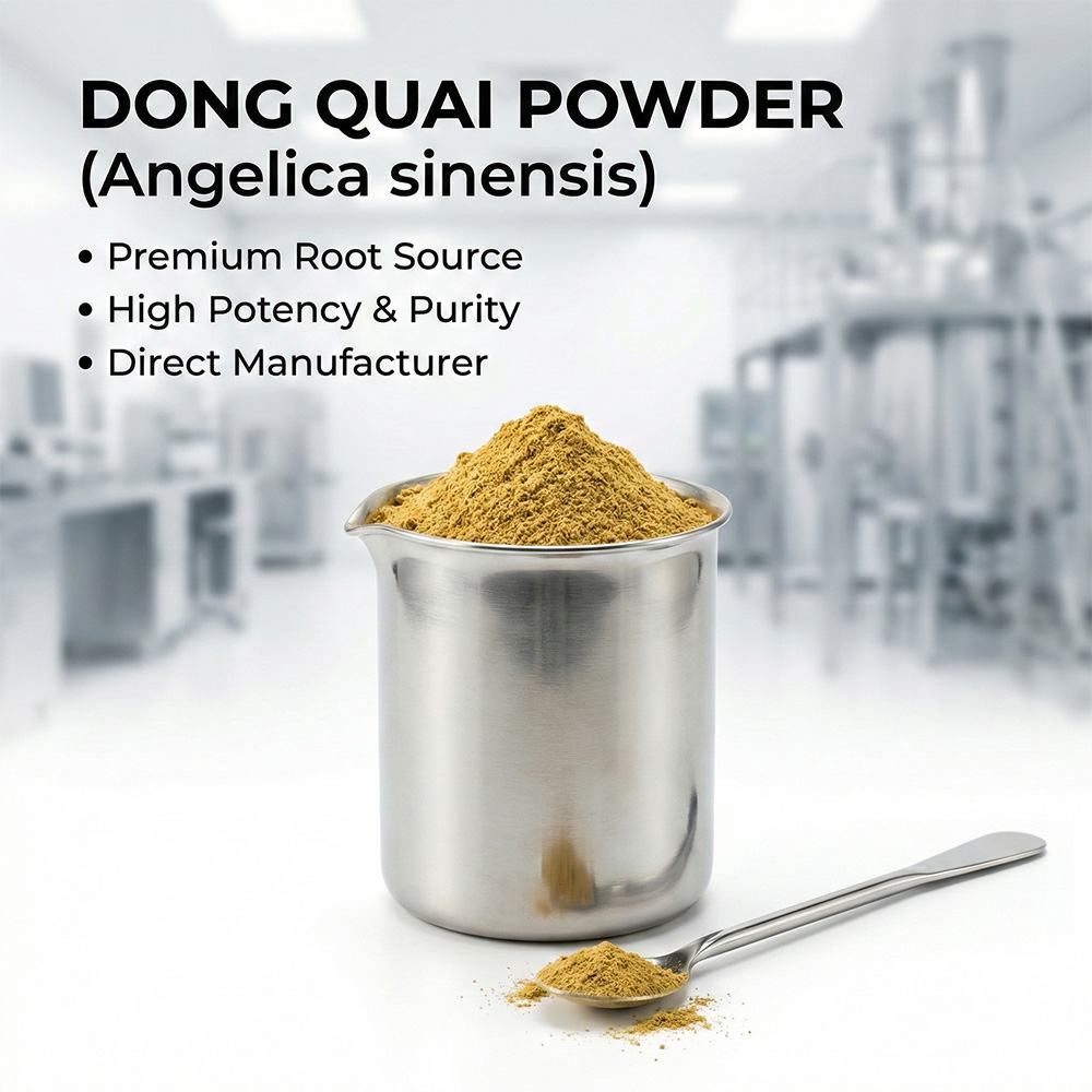Angelica Sinensis Powder