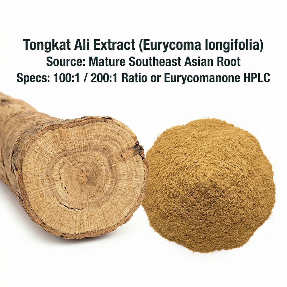 Tongkat Ali Extract