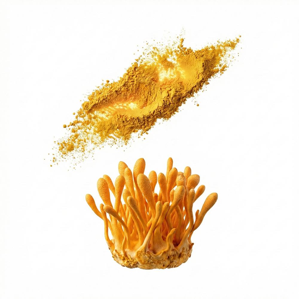Cordyceps Sinensis Extract