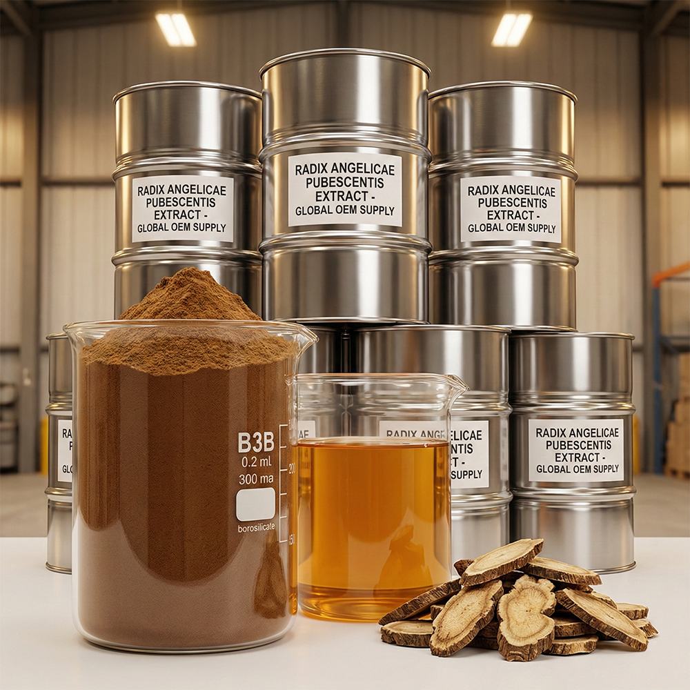 Angelica Pubescens Root Extract