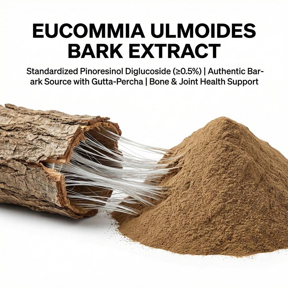 Eucommia Ulmoides Extract