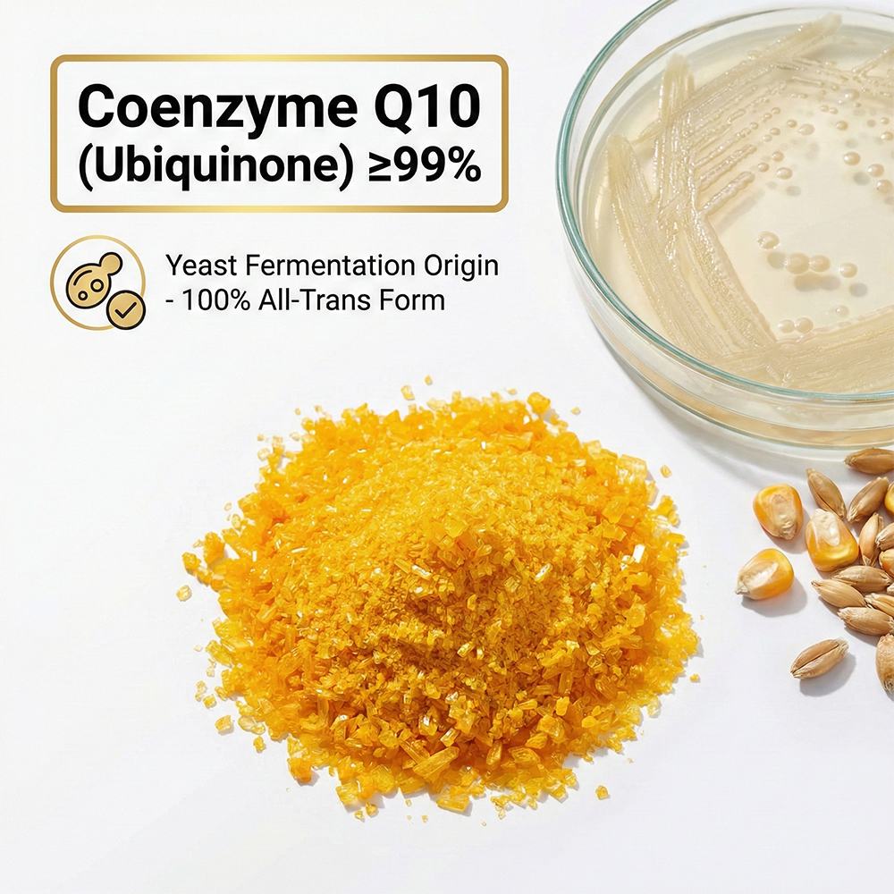 Coenzyme Q10