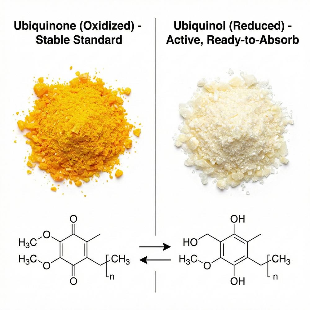 Coenzyme Q10 product detail image 6