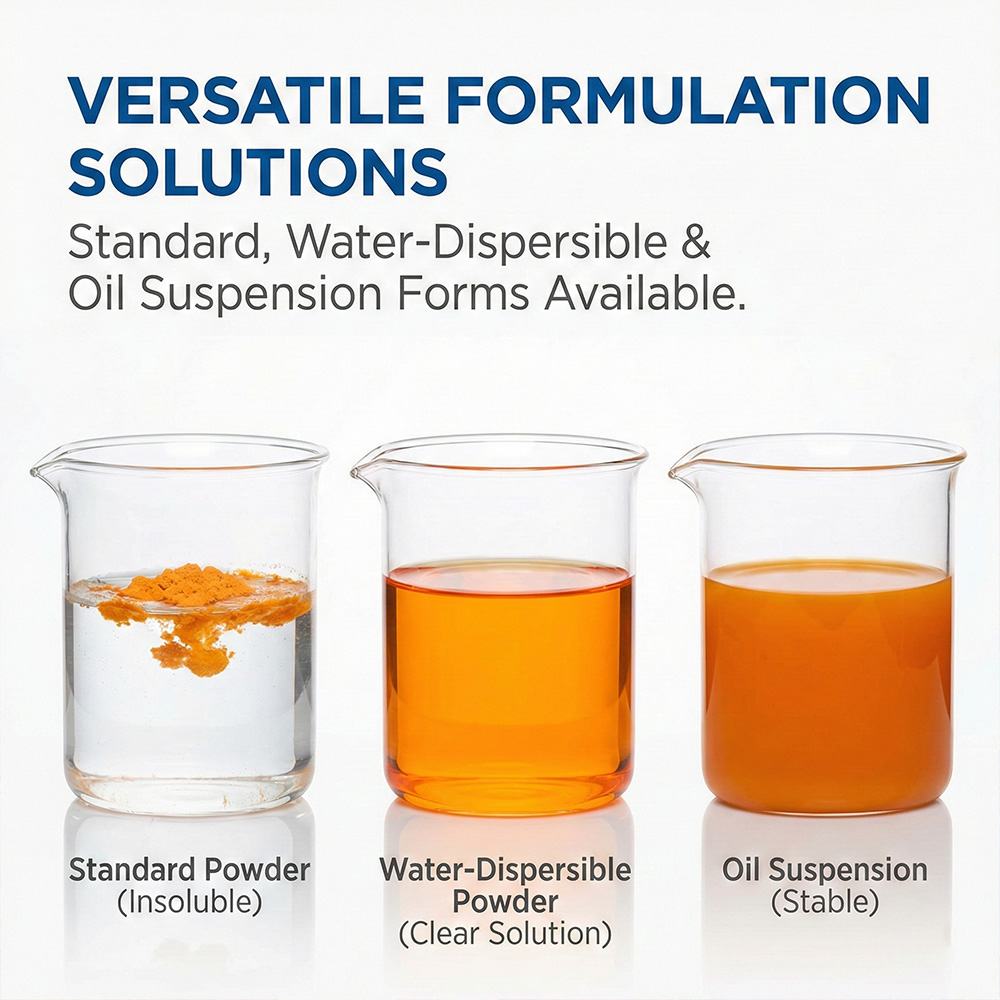 Coenzyme Q10 product detail image 4