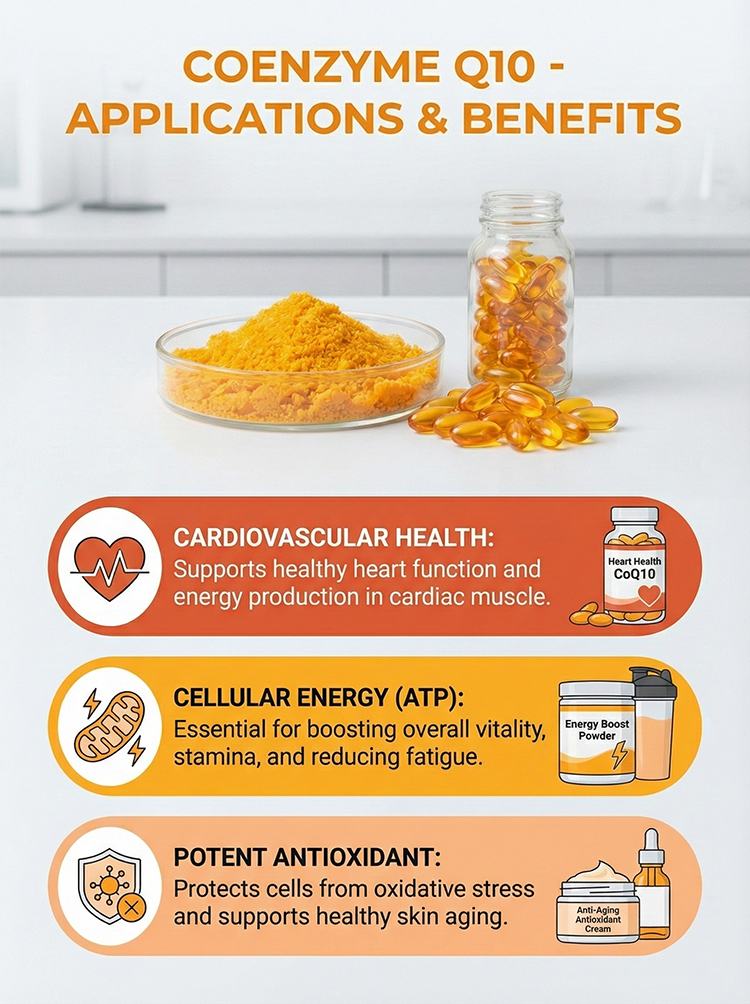Coenzyme Q10 Powder product detail image 8