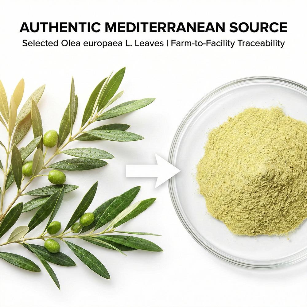 Olive Leaf Extract product detail image 3