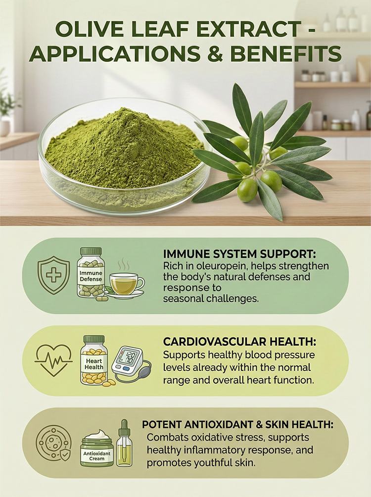 Olive Leaf Extract product detail image 8
