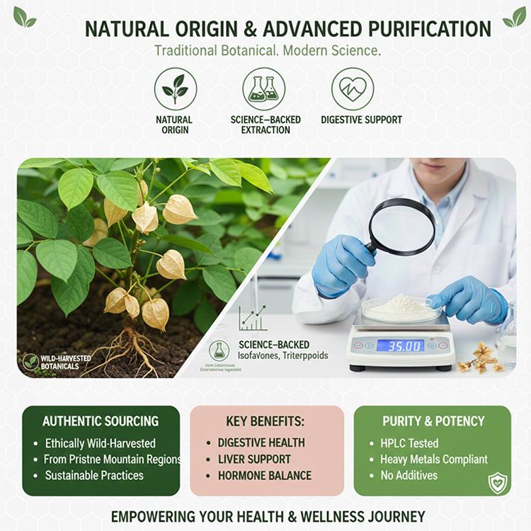 Pueraria Flower Extract product detail image 5