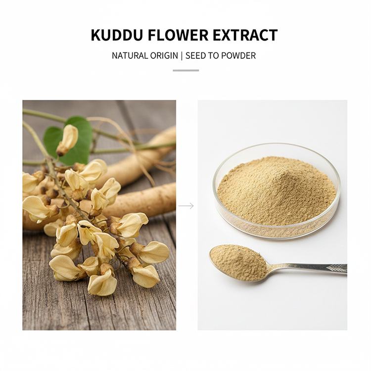 Pueraria Flower Extract product detail image 7