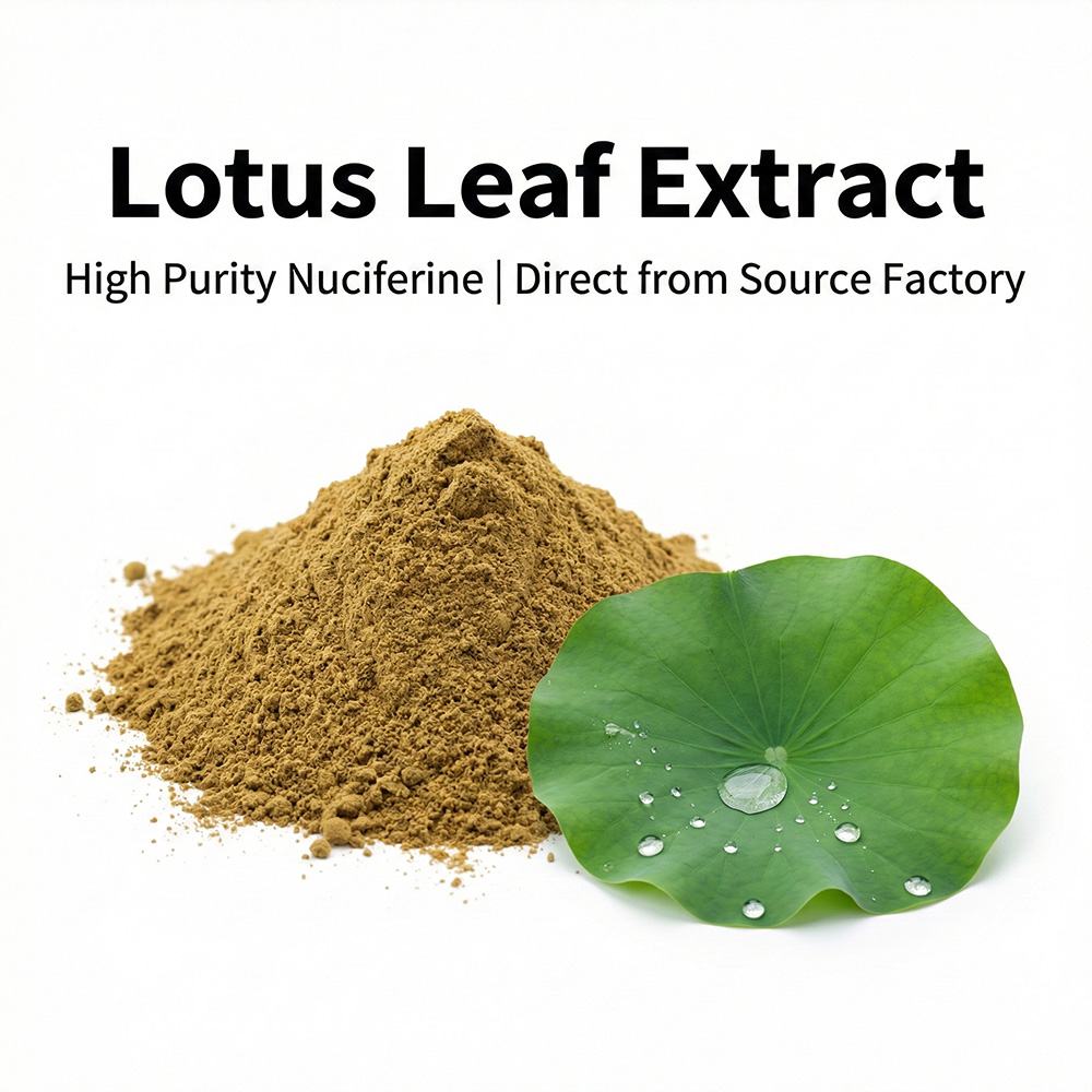Lotus Leaf Extract