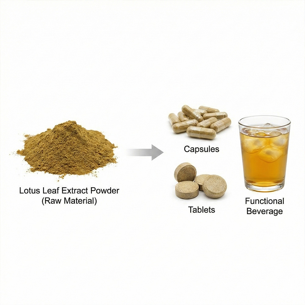 Lotus Leaf Extract product detail image 5