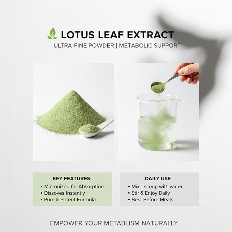 Lotus Leaf Extract product detail image 5