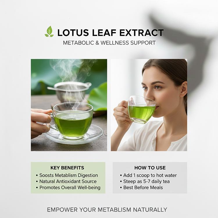 Lotus Leaf Extract product detail image 7