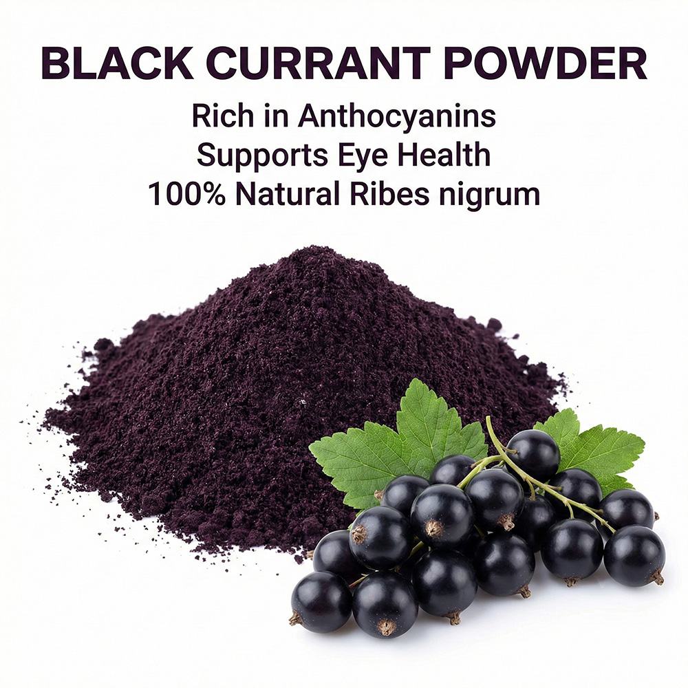 Blackcurrant Powder