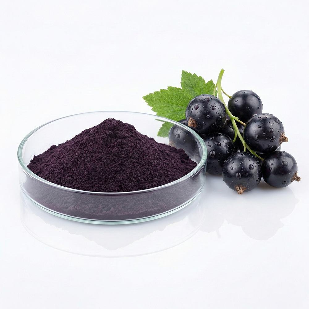 Black Currant Extract product detail image 2