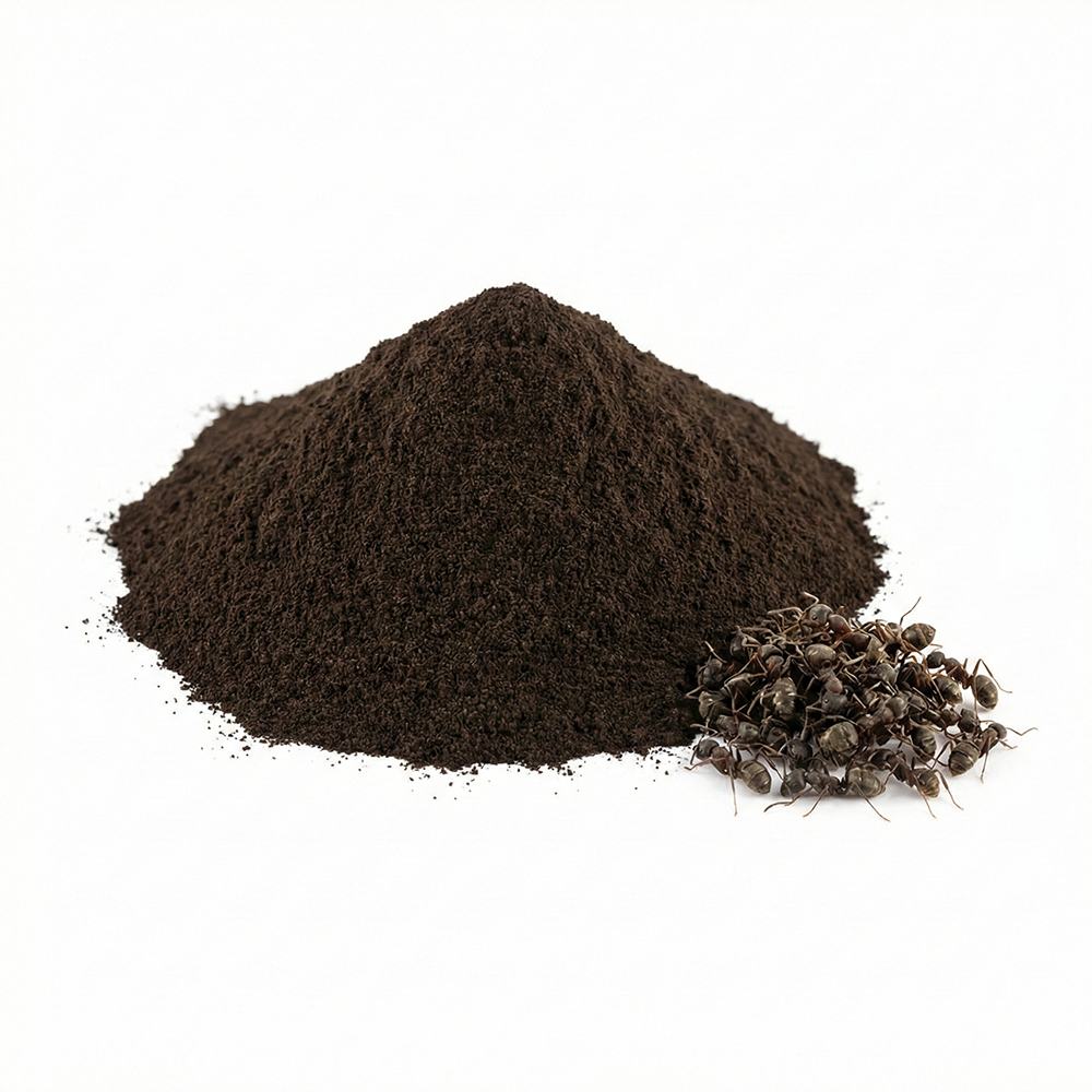 Black Ant Extract