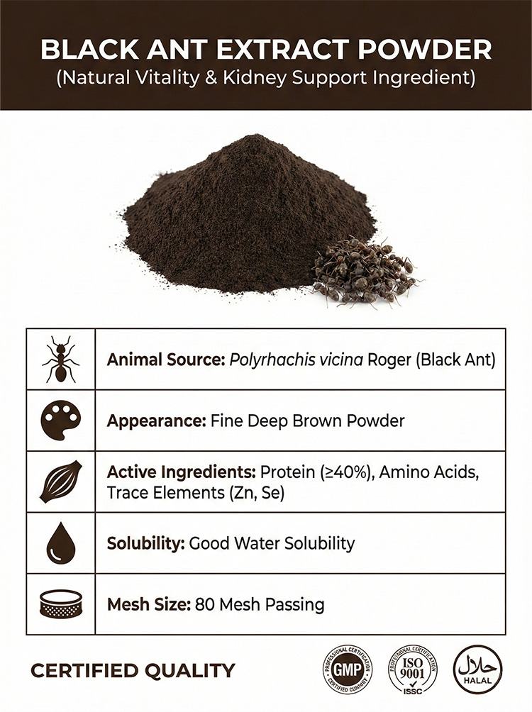 Black Ant Extract product detail image 7