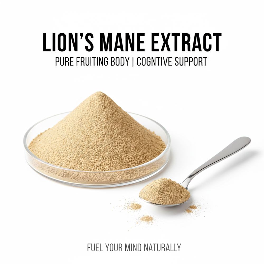 Lion's Mane Mushroom Extract
