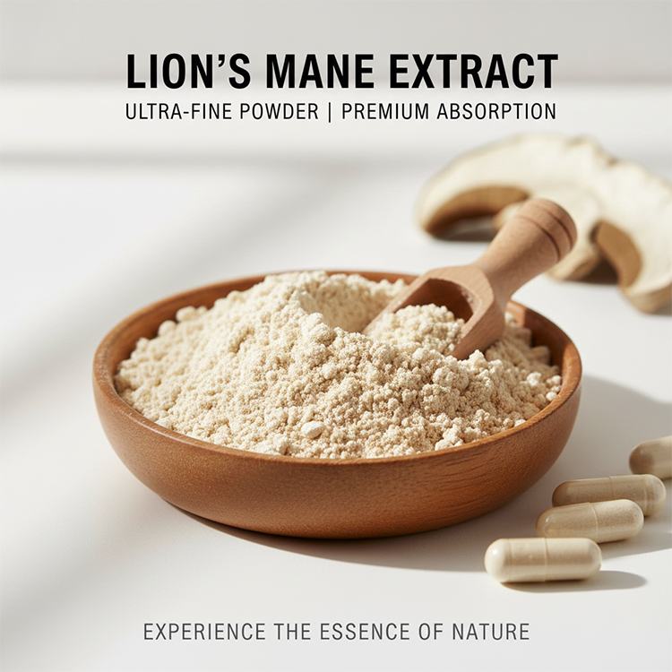 Lion's Mane Mushroom Extract product detail image 6