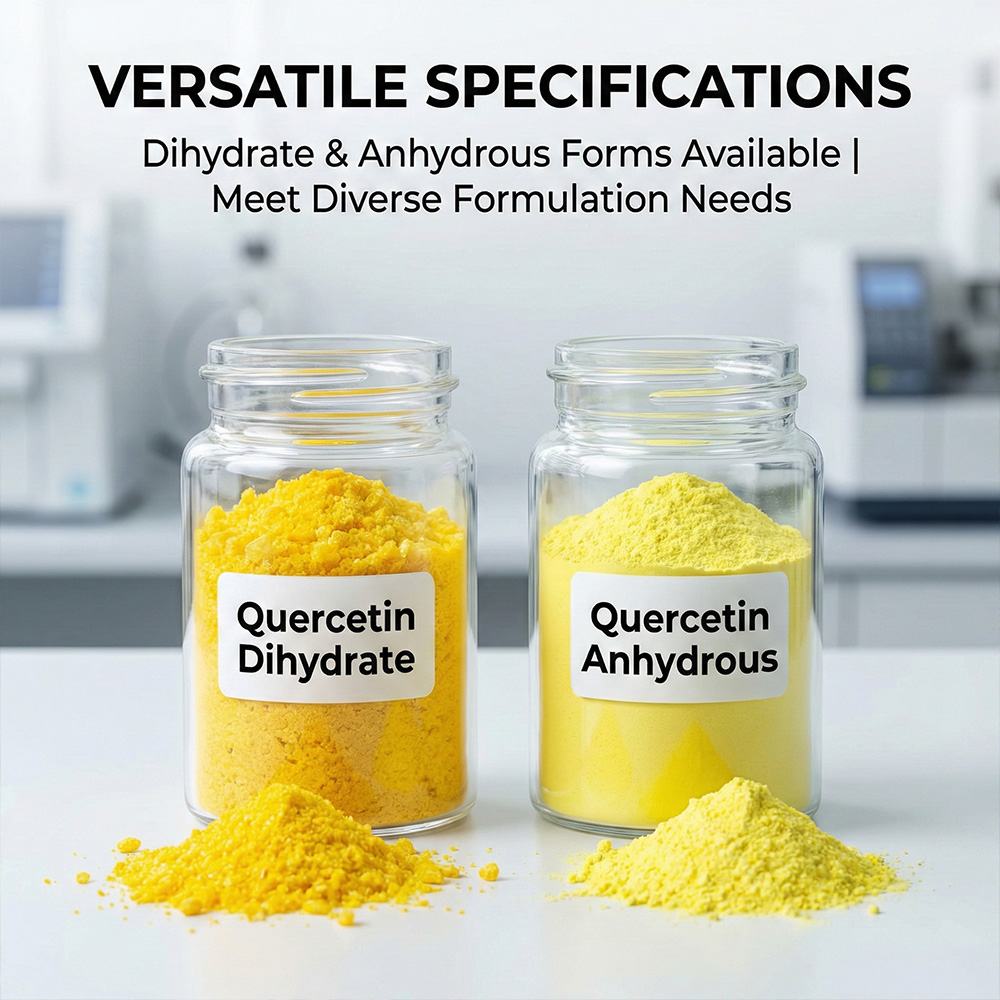 Quercetin Extract Powder product detail image 4
