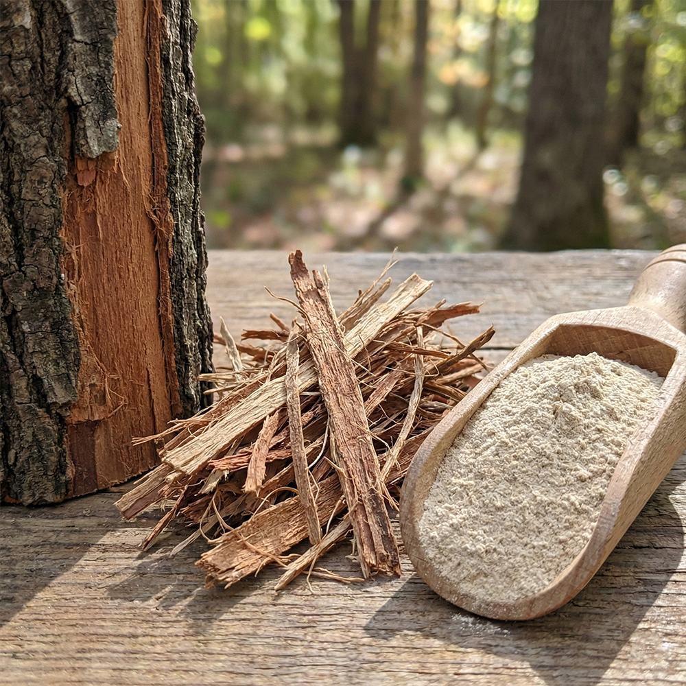 Slippery Elm Bark Powder product detail image 2