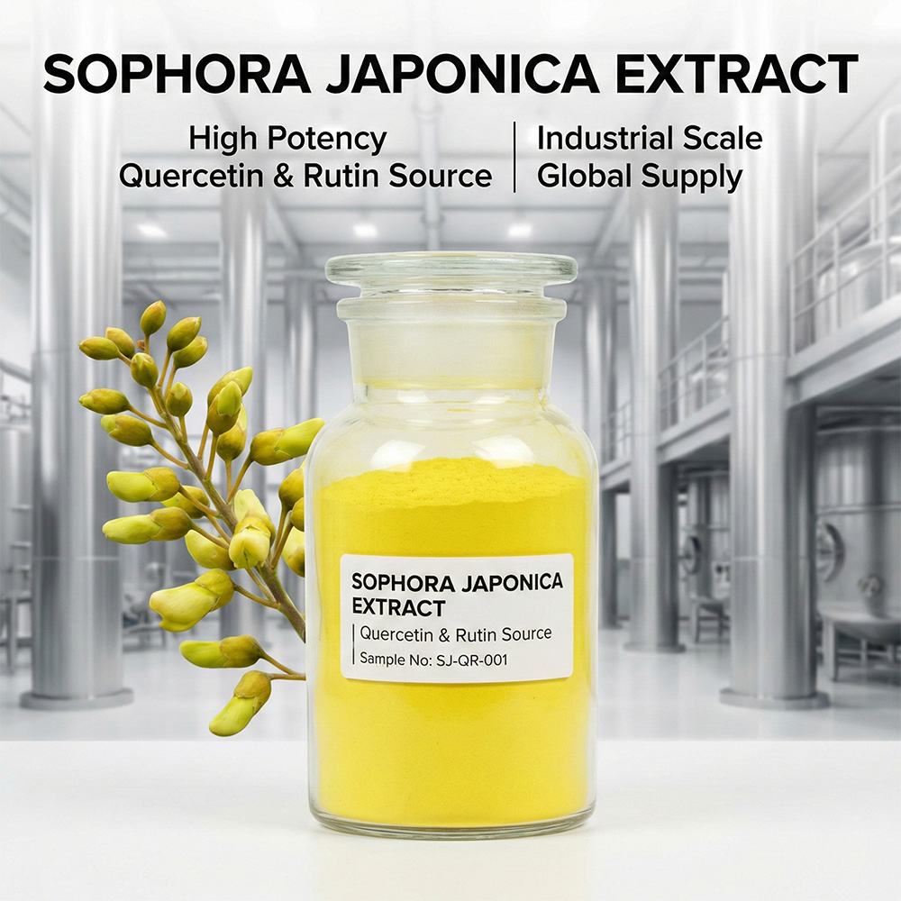 Sophora Japonica Bud Extract