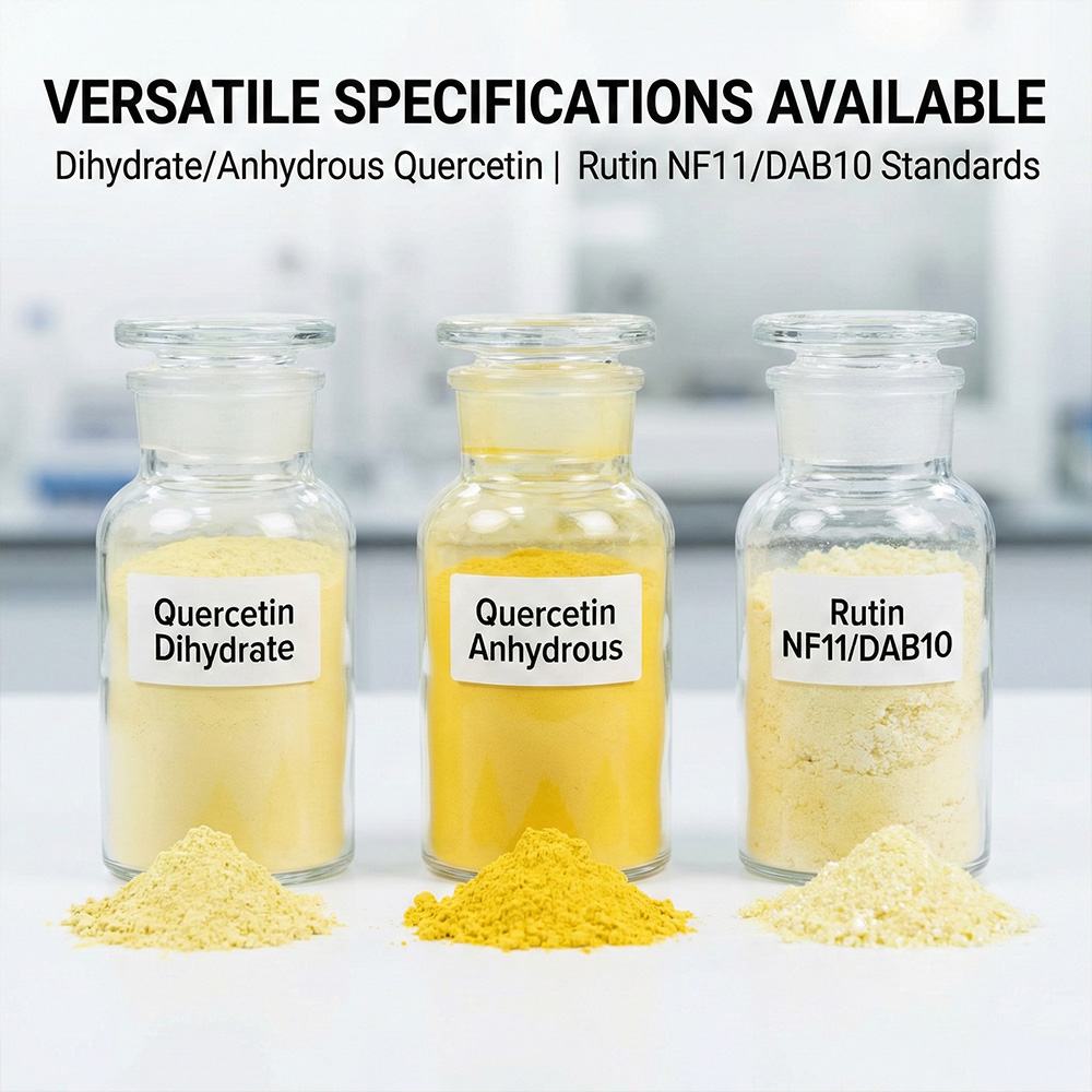 Sophora Japonica Bud Extract product detail image 5