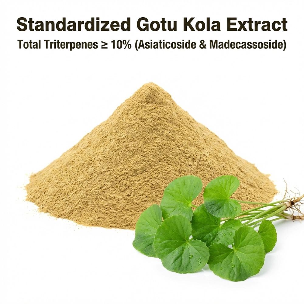 Centella Asiatica Powder