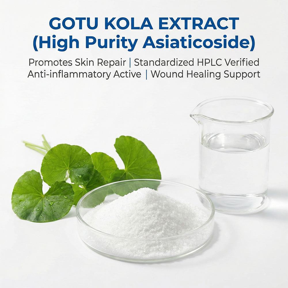 Gotu Kola Extract