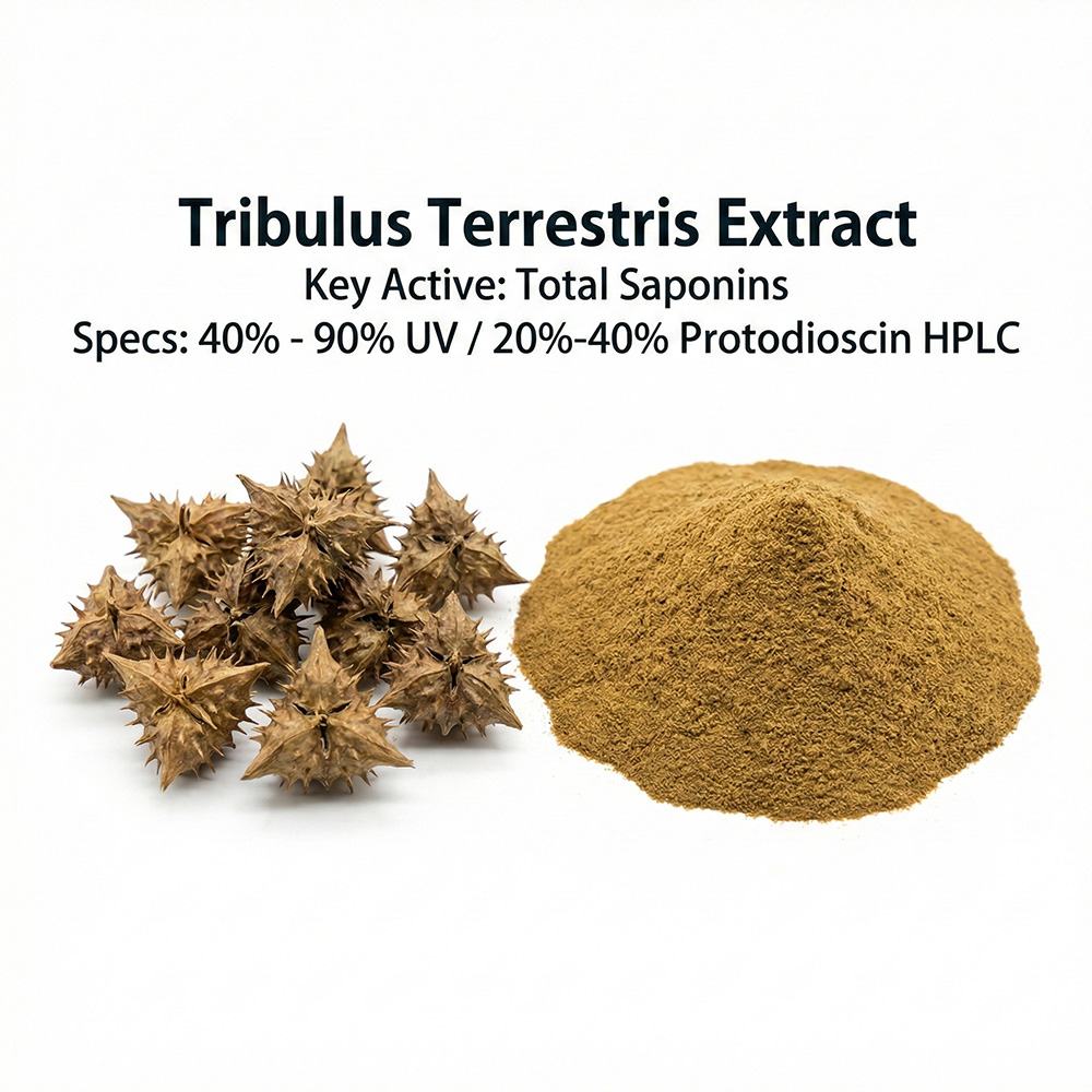 Tribulus Terrestris Extract