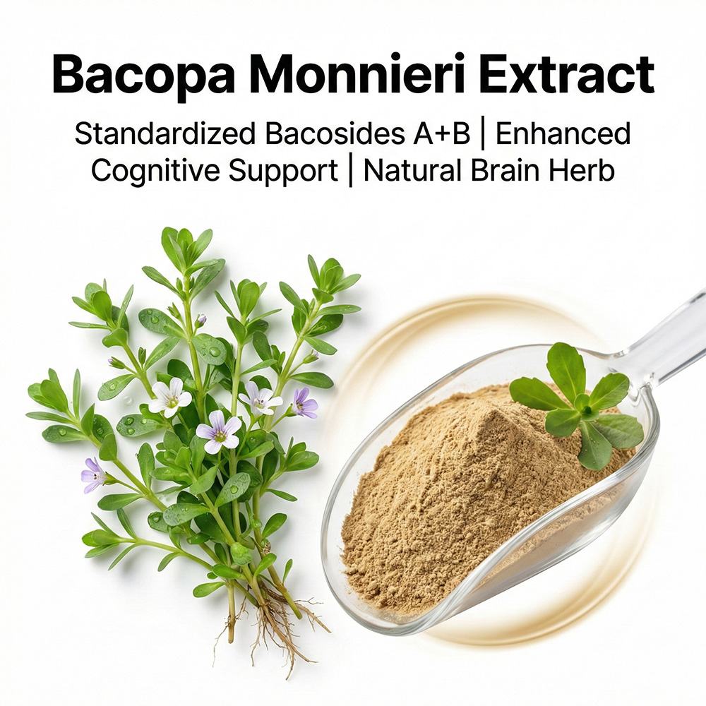 Bacopa Monnieri Extract