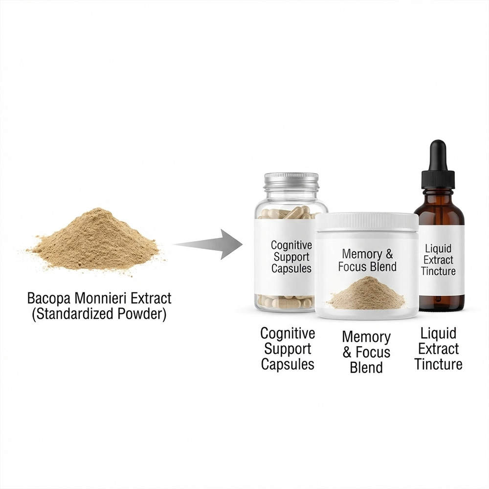 Bacopa Monnieri Extract product detail image 5