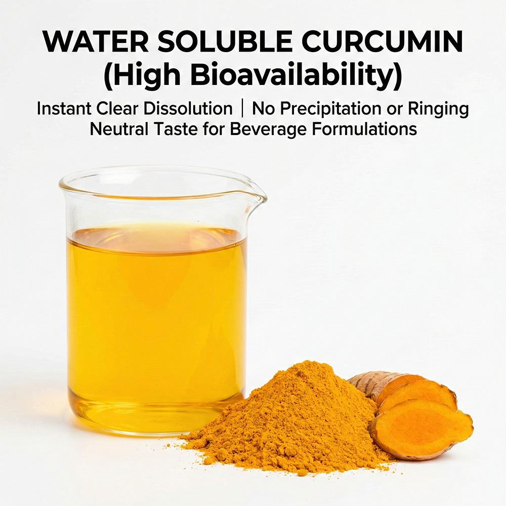 Water-Soluble Curcumin Powder