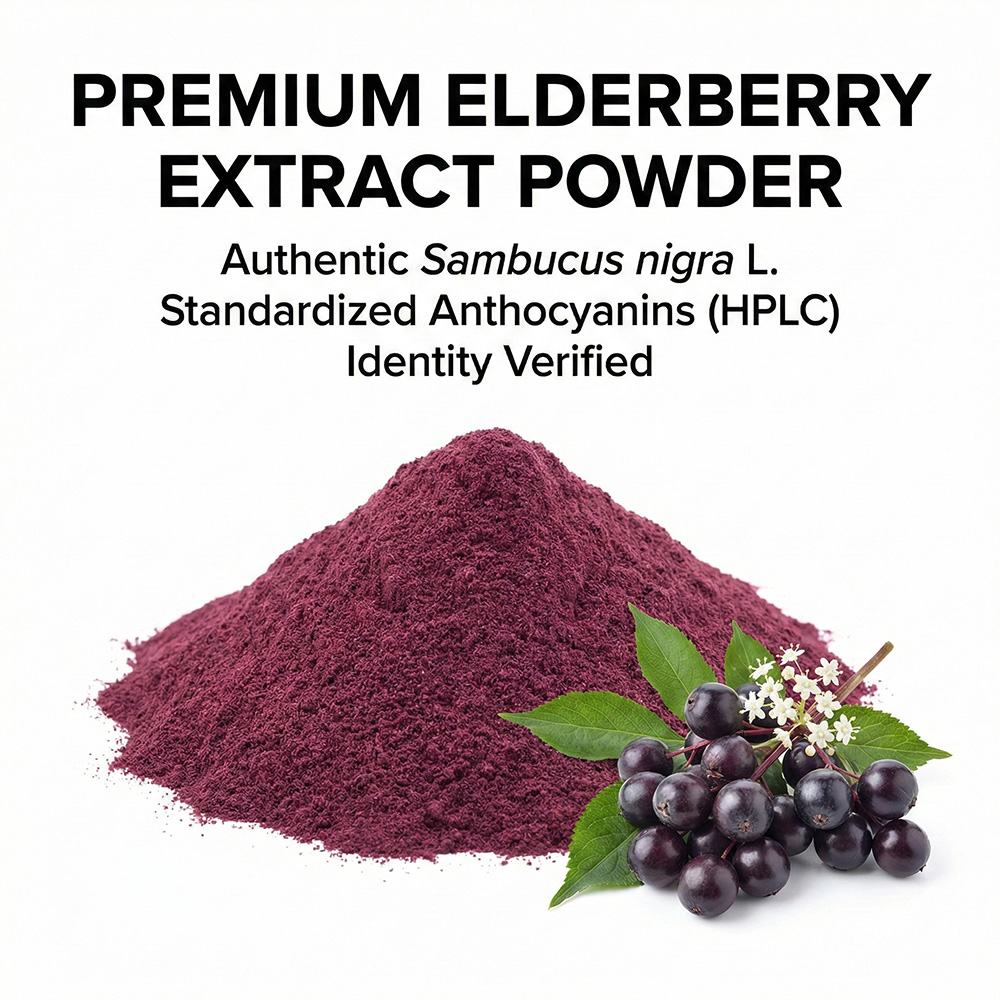Elderberry Powder