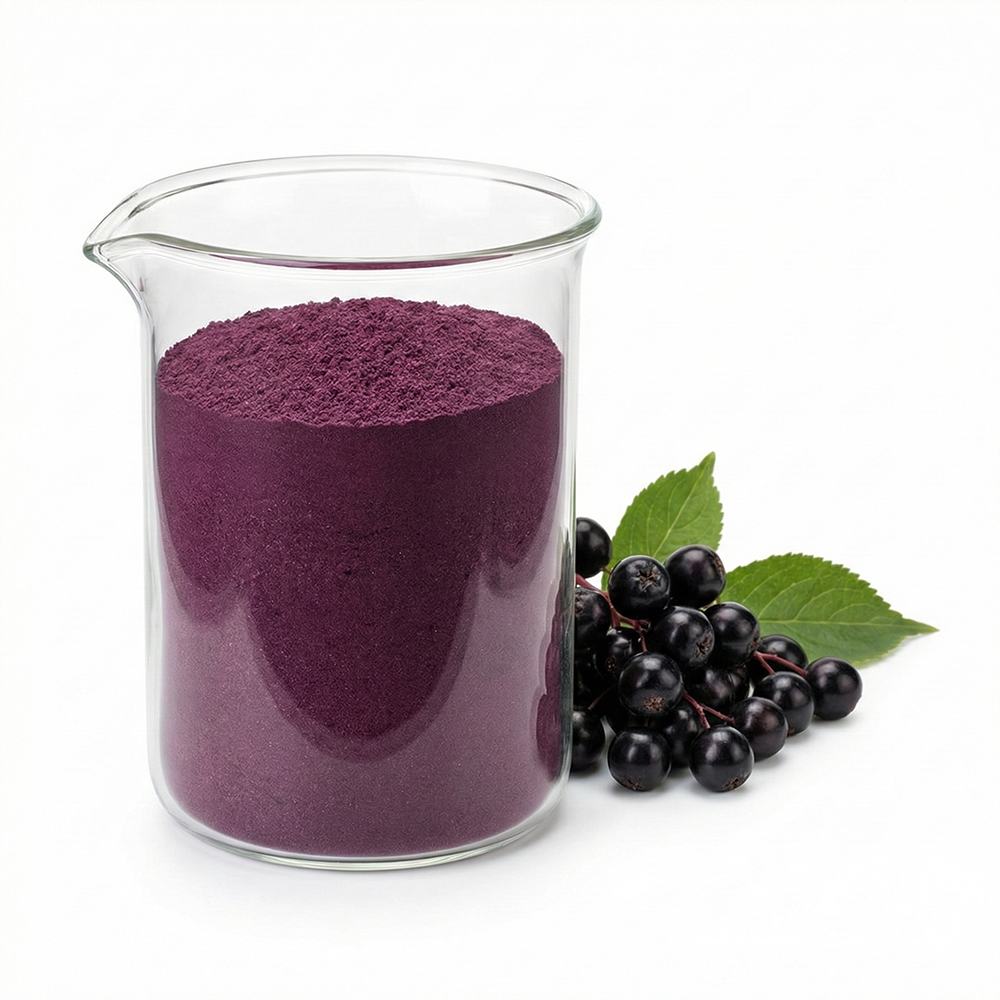 Elderberry Extract
