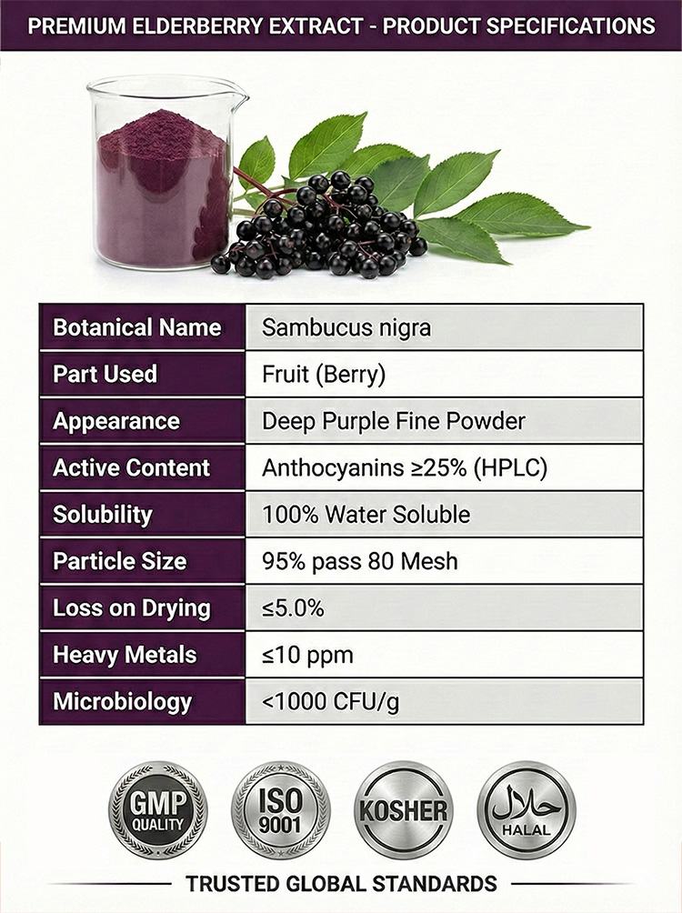 Elderberry Extract product detail image 7