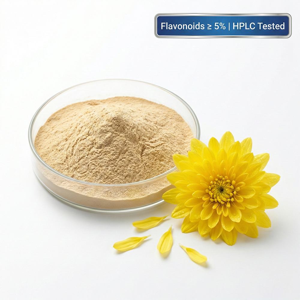 Chrysanthemum Extract