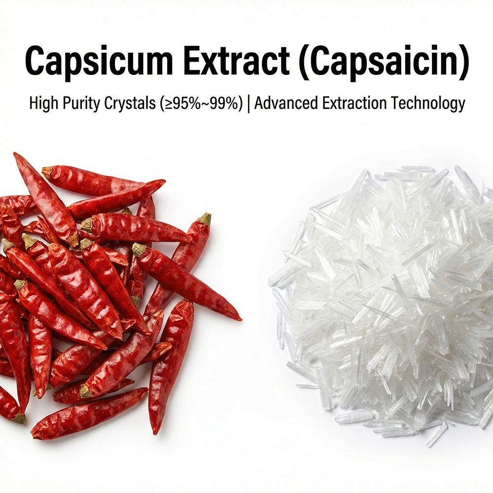 Capsicum Extract
