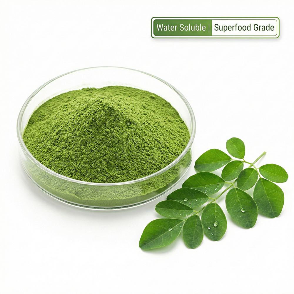 Moringa Powder Extract