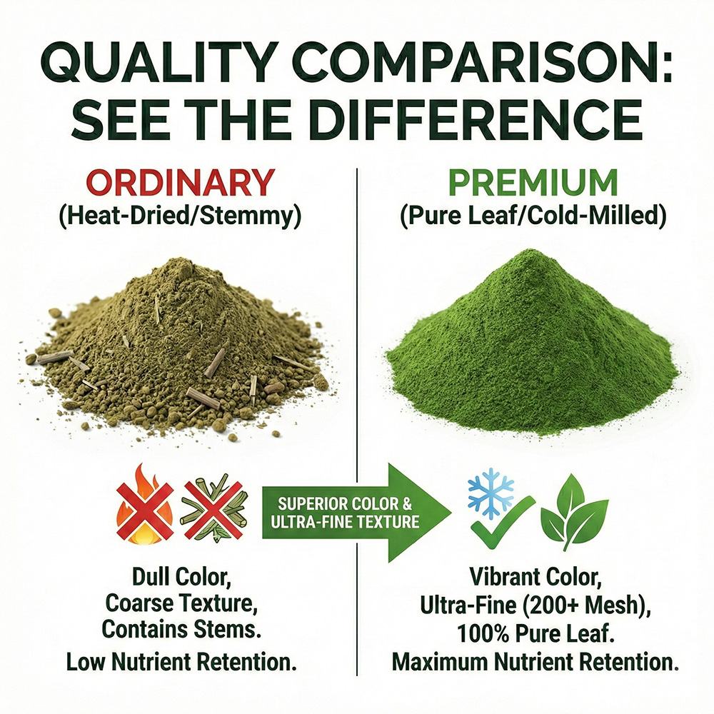 Moringa Leaf Powder product detail image 3