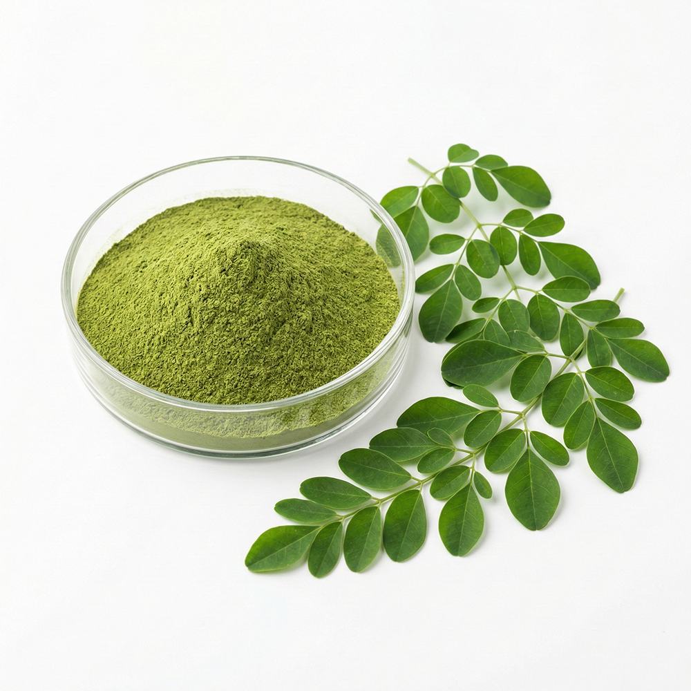 Moringa Leaf Extract