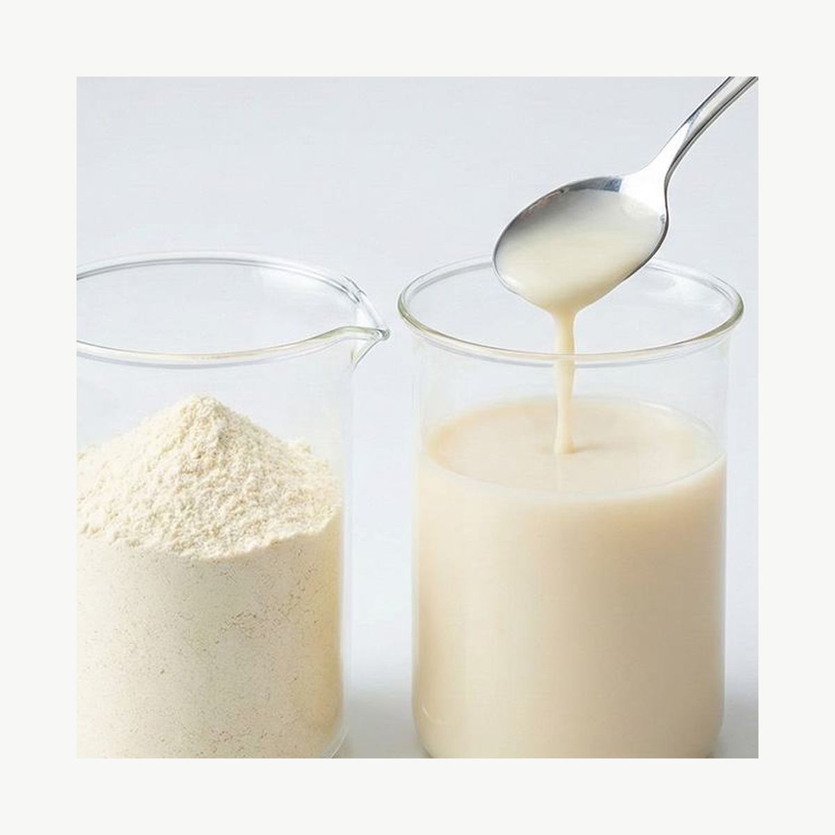 Quinoa Powder for Bulk Ingredient Sourcing product detail image 7